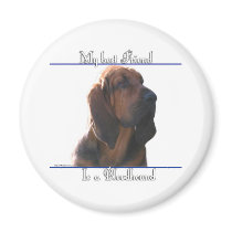 Bloodhound Best Friend 2 - Magnet