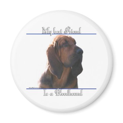 Bloodhound Best Friend 2 - Magnet by GreyWolfCreation