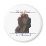 Bloodhound Best Friend 2 - Magnet