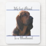 Bloodhound Best Friend 2