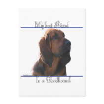 Bloodhound Best Friend 2