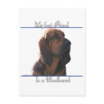 Bloodhound Best Friend 2 postcards