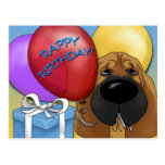 Bloodhound Birthday Postcard