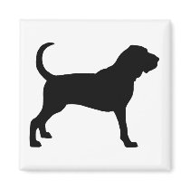 Bloodhound (black)