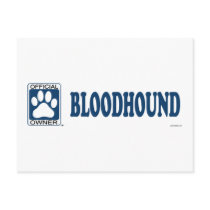Bloodhound Blue