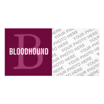 Bloodhound Breed Monogram Design