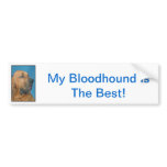 Bloodhound Bumper Stickers