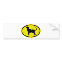 Bloodhound