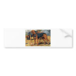 Bloodhound Bumper Sticker