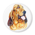 Bloodhound Bust Refrigerator Magnets