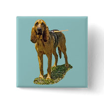 Bloodhound Buttons