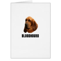 Bloodhound Cards