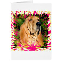 Bloodhound Card