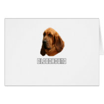 Bloodhound Card