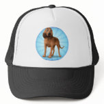 Bloodhound cartoon