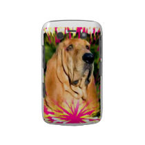 Bloodhound