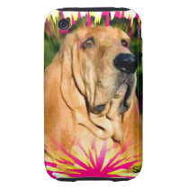 Bloodhound