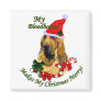 Bloodhound Christmas Gifts Refrigerator Magnets
