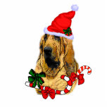 Bloodhound Christmas Gifts photo sculptures
