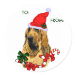 Bloodhound Christmas Gifts, TO:, FROM: Stickers