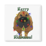 Bloodhound - Christmas Lights Magnet