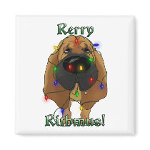 Bloodhound - Christmas Lights Magnet