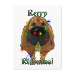 Bloodhound - Christmas Lights Postcard