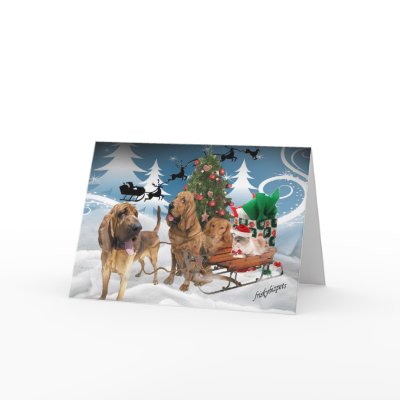 Bloodhound Christmas Night Greeting Card by friskybiz
