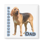 Bloodhound Dad 4 - Magnet
