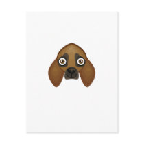 Bloodhound Dog Breed - My Dog Oasis