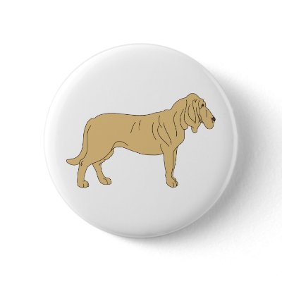 Bloodhound Dog Buttons by intriguingdesigns