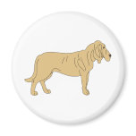 Bloodhound Dog magnets