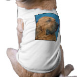 Bloodhound Dog Tee Shirt