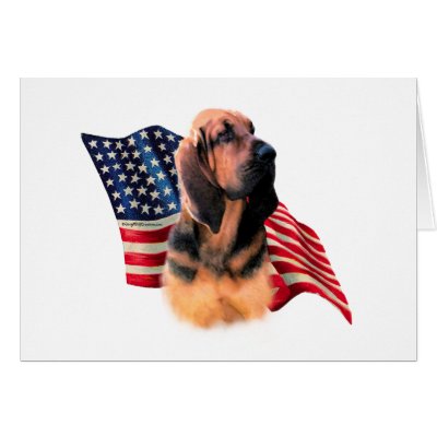 Bloodhound Flag Cards by GreyWolfCreation
