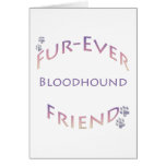 Bloodhound Furever Cards