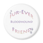 Bloodhound Furever Magnets