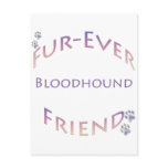 Bloodhound Furever Post Cards