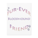 Bloodhound Furever postcards