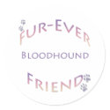Bloodhound Furever stickers