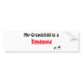 Bloodhound Grandchild Bumper Sticker