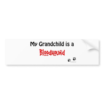Bloodhound Grandchild Bumper Sticker by dogwiregifts