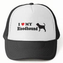 Bloodhound