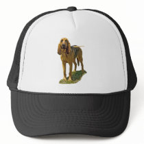 Bloodhound Hats