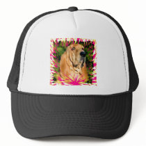 Bloodhound Hats