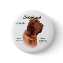 Bloodhound History Design