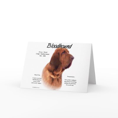 Bloodhound History Design Greeting Cards by GreyWolfCreation