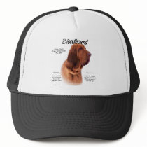 Bloodhound History Design