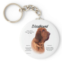Bloodhound History Design