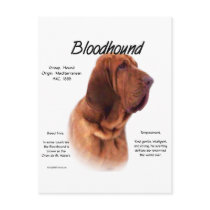 Bloodhound History Design