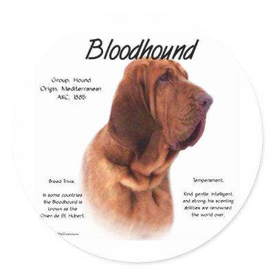 Bloodhound History Design Round Stickers by GreyWolfCreation